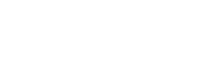 ワイルドシングス